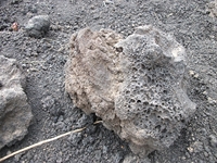 Monti Calcarazzi